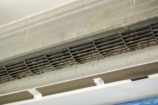 Best Local Air Duct Cleaning Services  in Holly Lake Ranch, TX